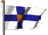 Team Finland