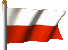 Team Poland